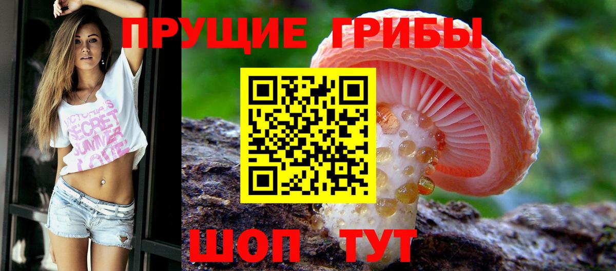 что такое наркотик  Вход с VPN  Зерноград  Галлюциногенные грибы GOLDEN TEACHER 