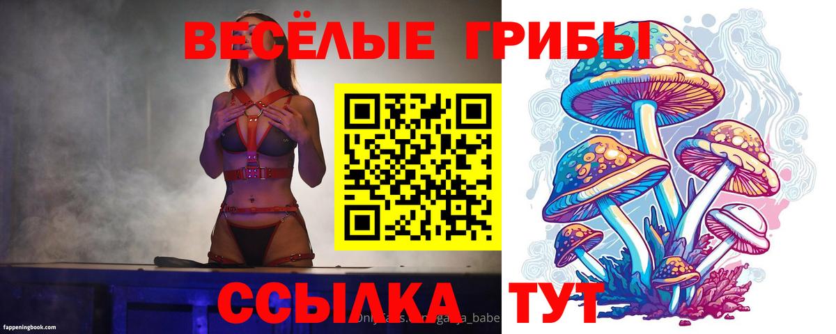Псилоцибиновые грибы мухоморы Зерноград