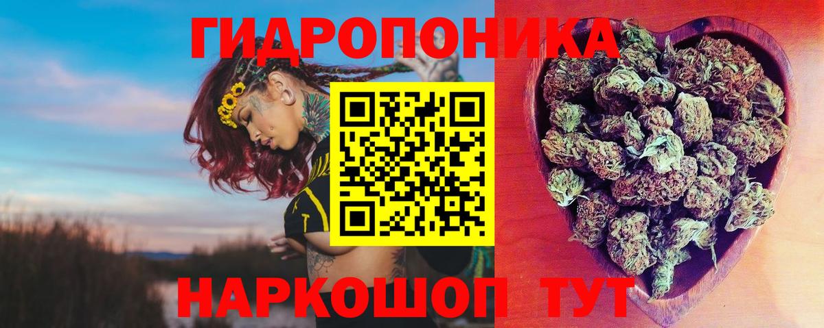 Зерноград  Бошки Шишки Amnesia  Шишки марихуана конопля  Вход с VPN  Шишки марихуана план 